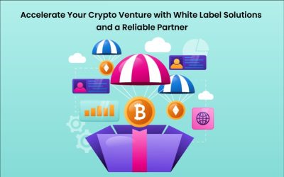 Accelerate Your Crypto Venture with White Label Solutions and a Reliable Partner