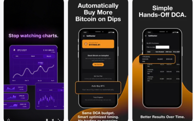 SatStacker Helps Refine Your Bitcoin DCA Strategy With Structured Timing Signals