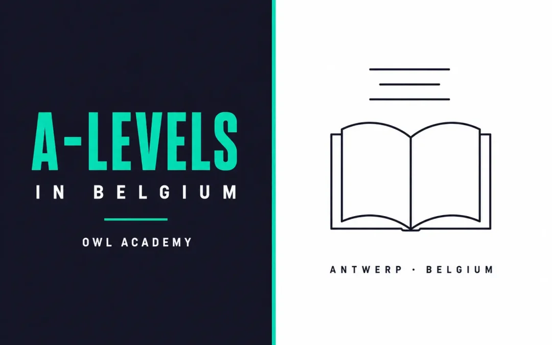 International Education in Antwerp: How OWL Academy Serves Families From Around the World
